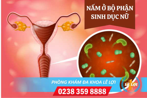 Nguyên nhân gây nấm ở bộ phận sinh dục