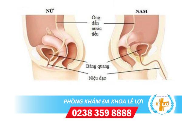 Cách nhận biết bệnh viêm niệu đạo ở nam và nữ