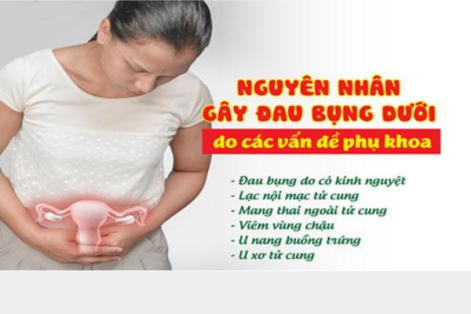 Nguyên nhân ấn vào bụng dưới thấy đau ở nữ do đâu?