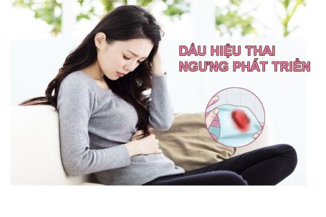 Dấu hiệu thai ngừng phát triển